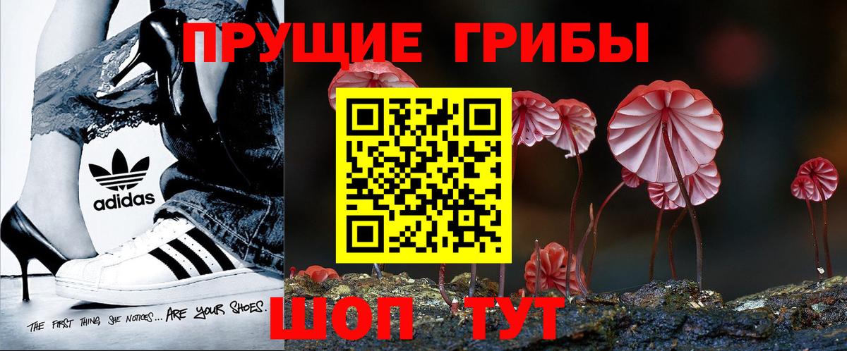 Псилоцибиновые грибы MAGIC MUSHROOMS Отрадное