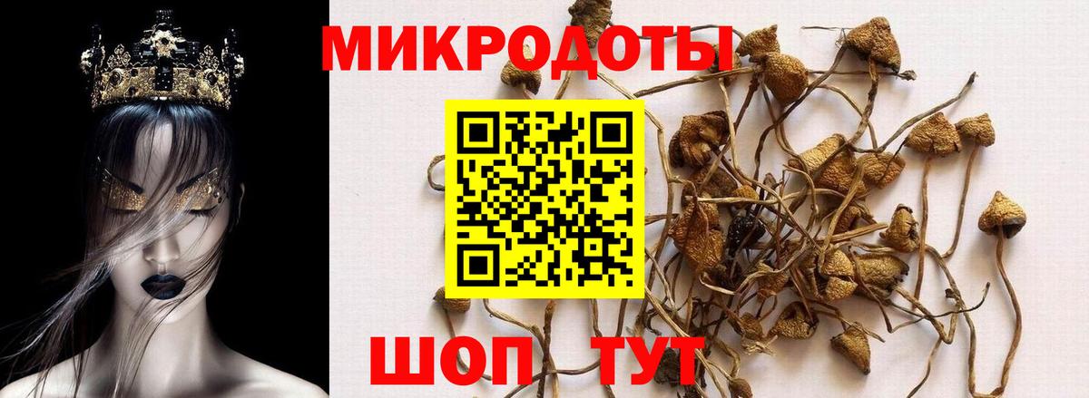 Отрадное  Галлюциногенные грибы MAGIC MUSHROOMS  Вход с VPN  даркнет сайт  Псилоцибиновые грибы MAGIC MUSHROOMS 